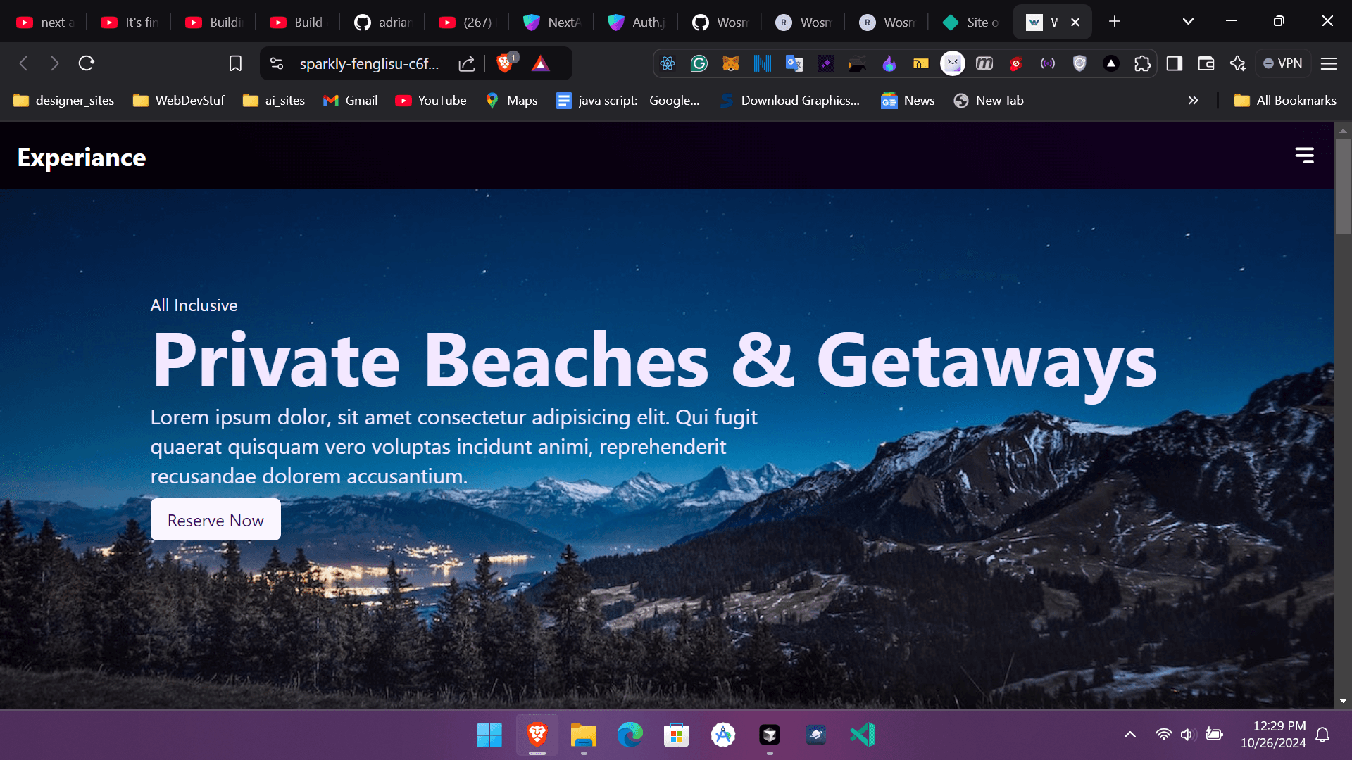 NextSoft Website Preview